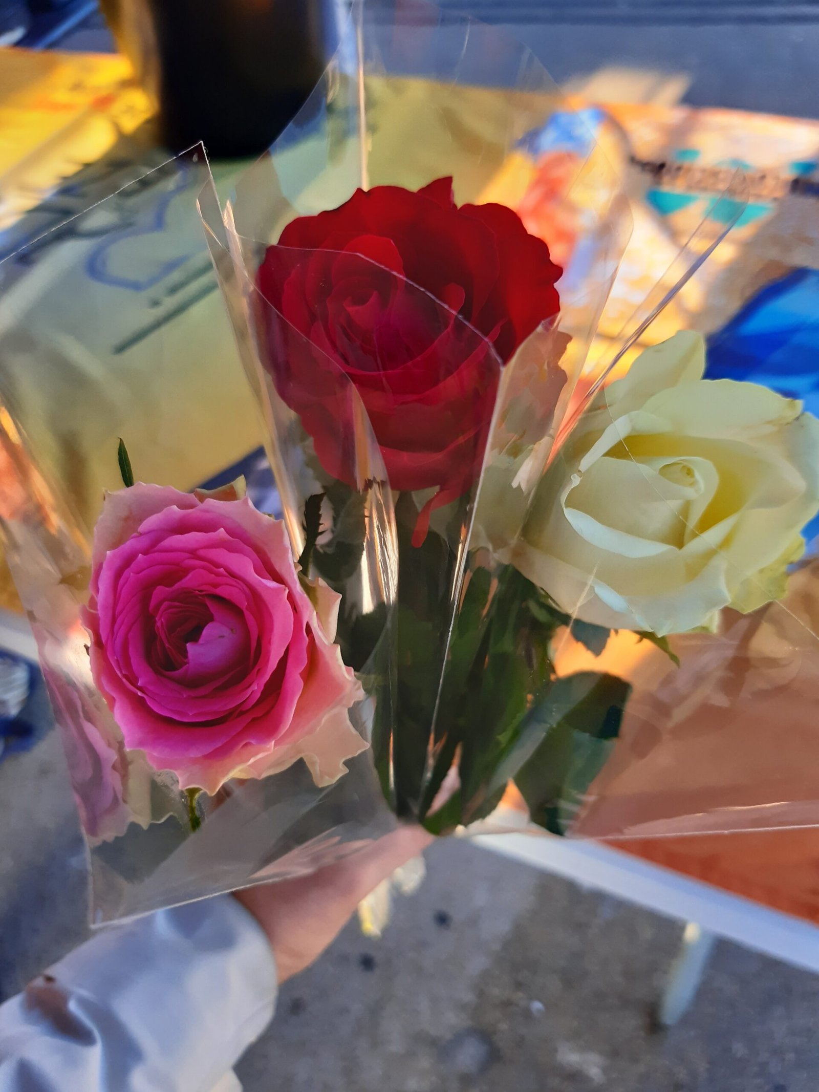 Vente de roses 2026